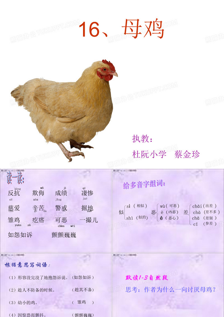 16《母鸡》