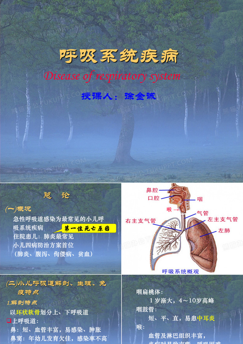 上感、支炎、哮喘(徐)