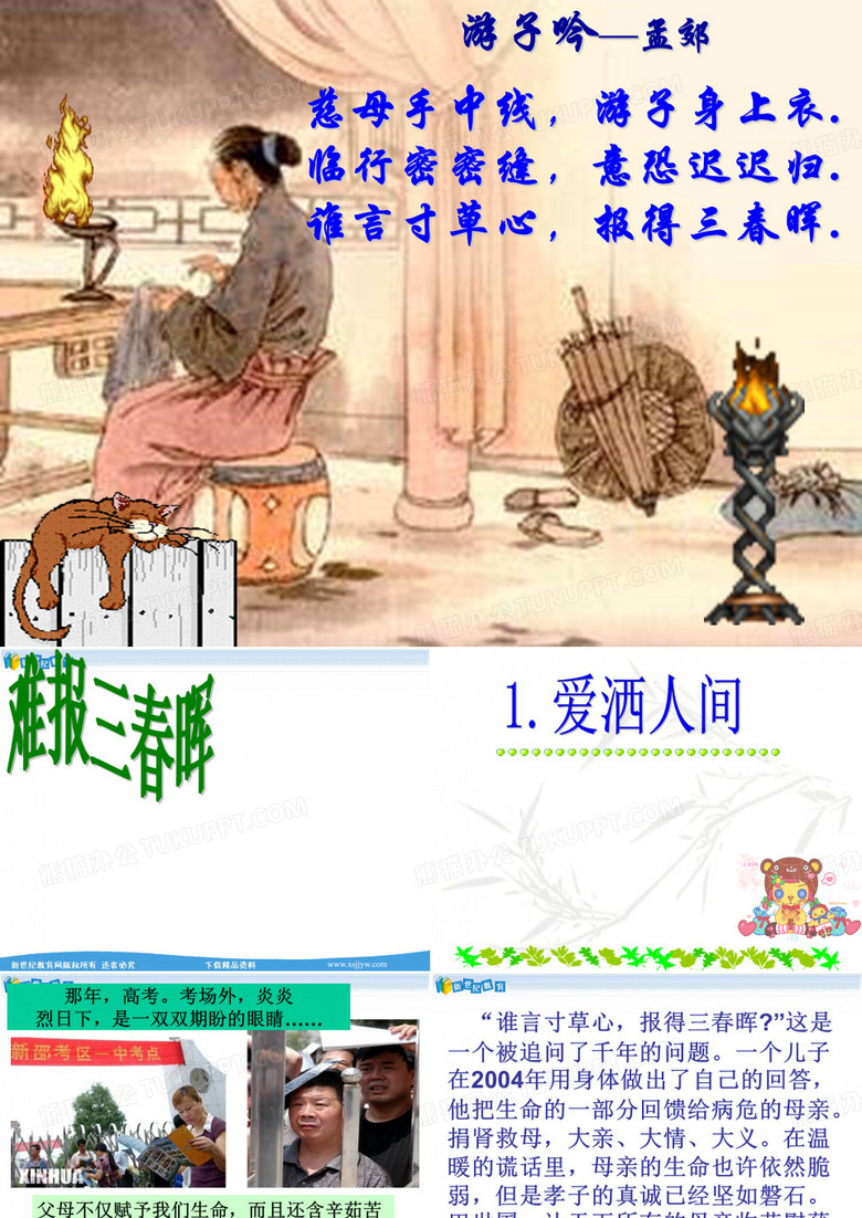 难报三春晖-6