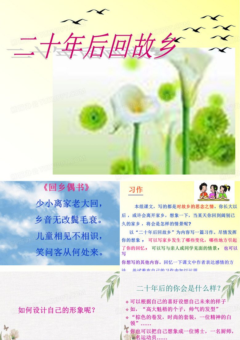 二十年后回故乡  作文课件
