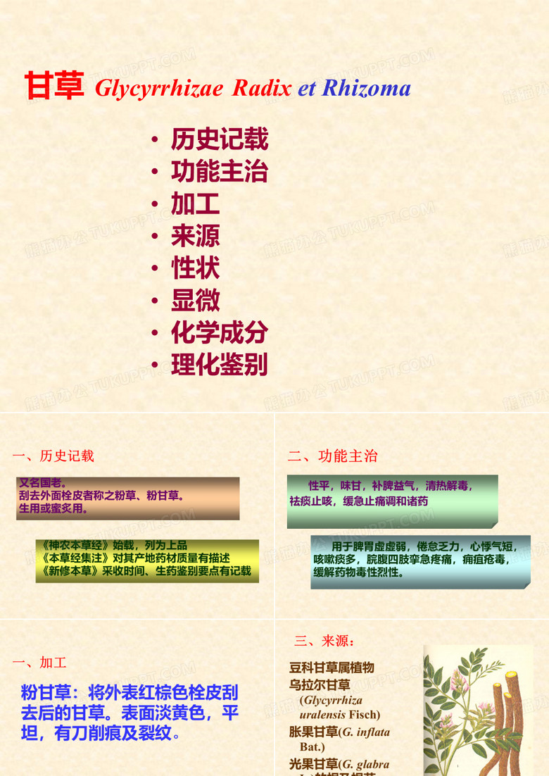 甘草