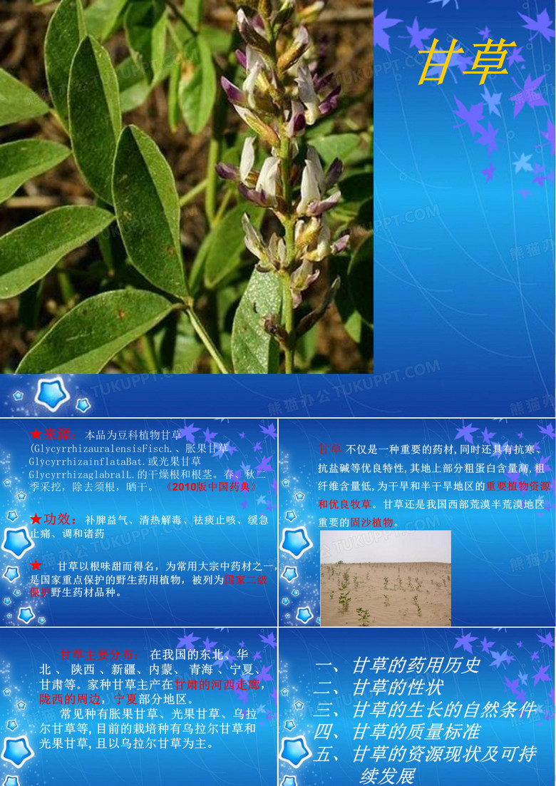 甘草一