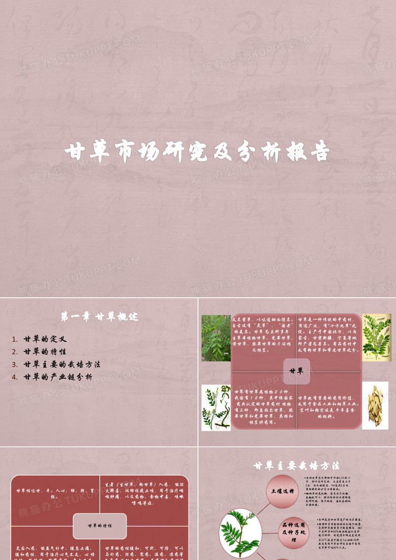 甘草研究报告