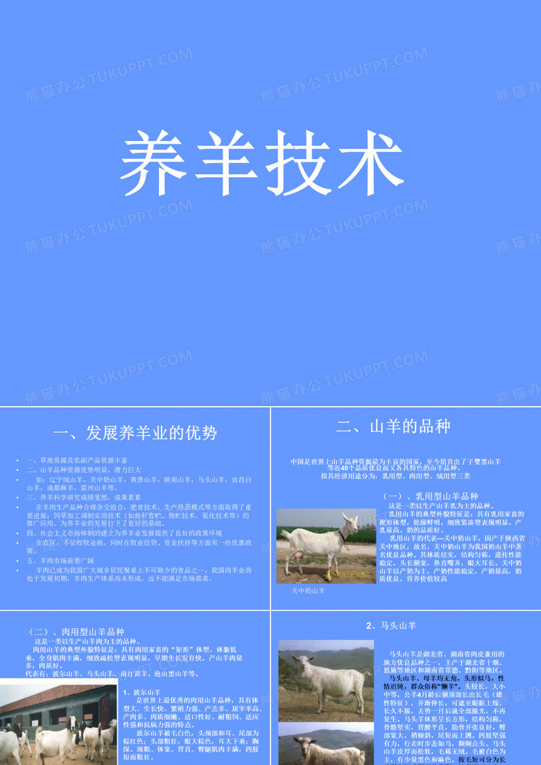 养羊技术