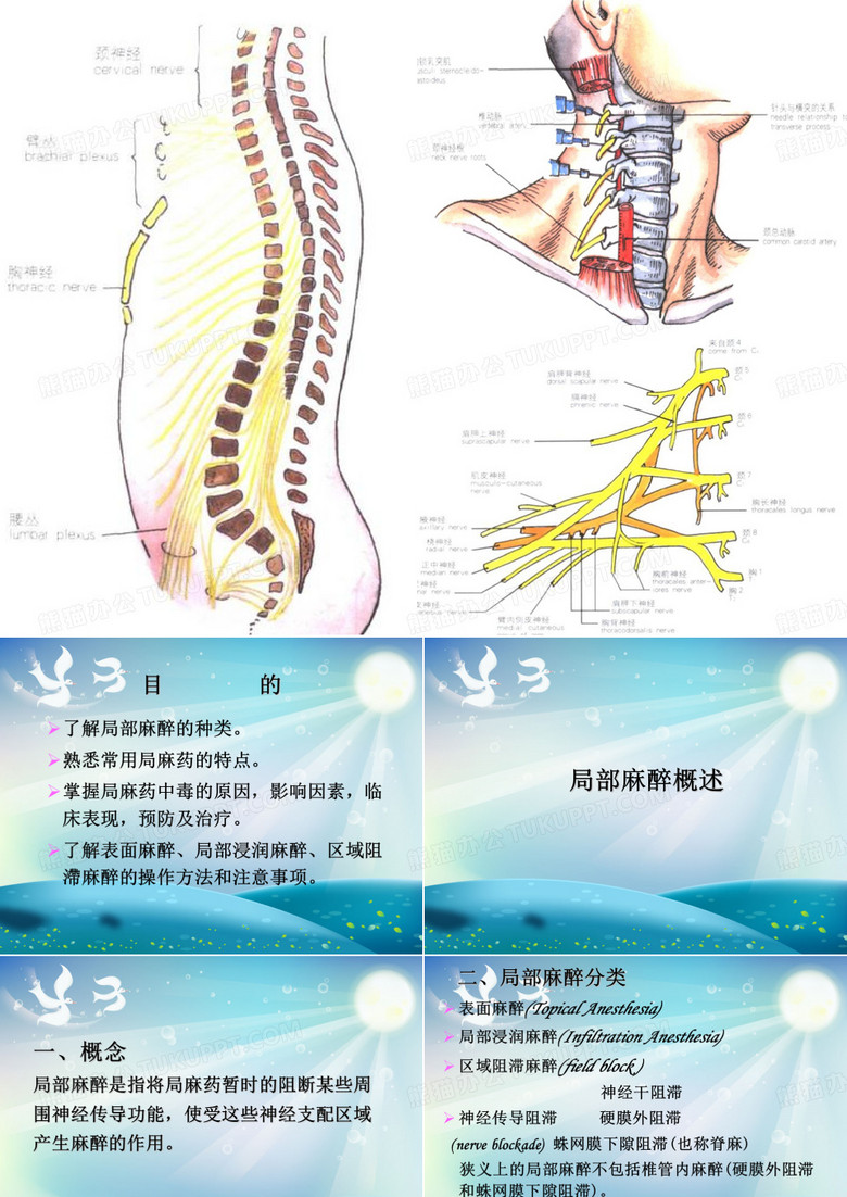 局部麻醉课件