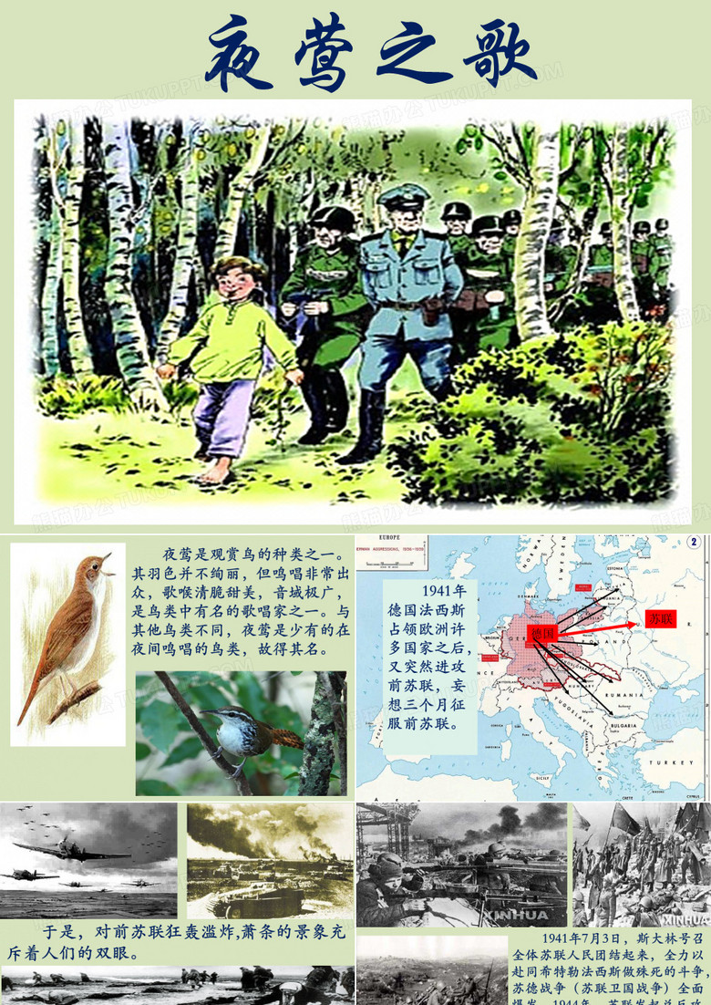 夜莺之歌
