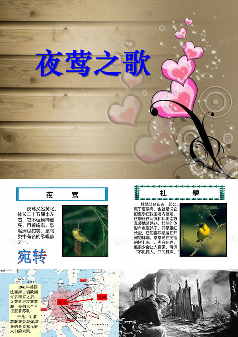 《夜莺之歌》ppt课件