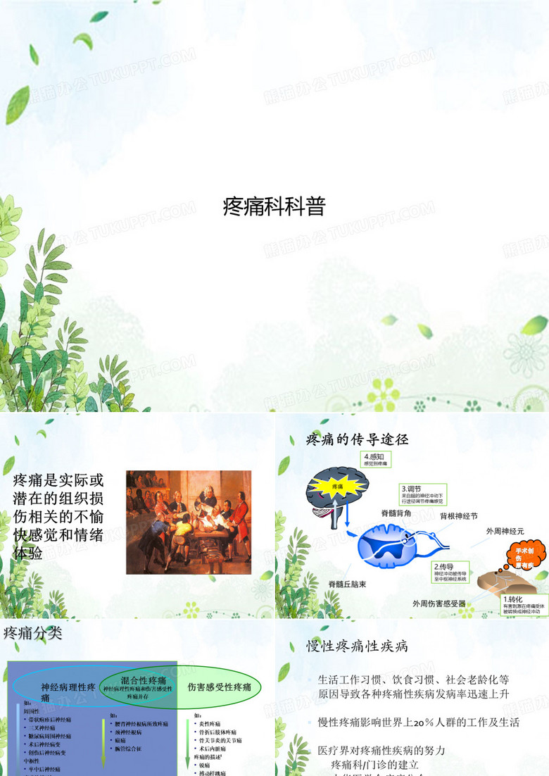 疼痛科科普【完整版文档】