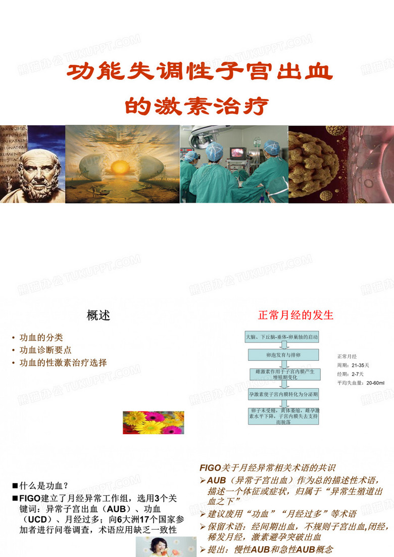 功血PPTt