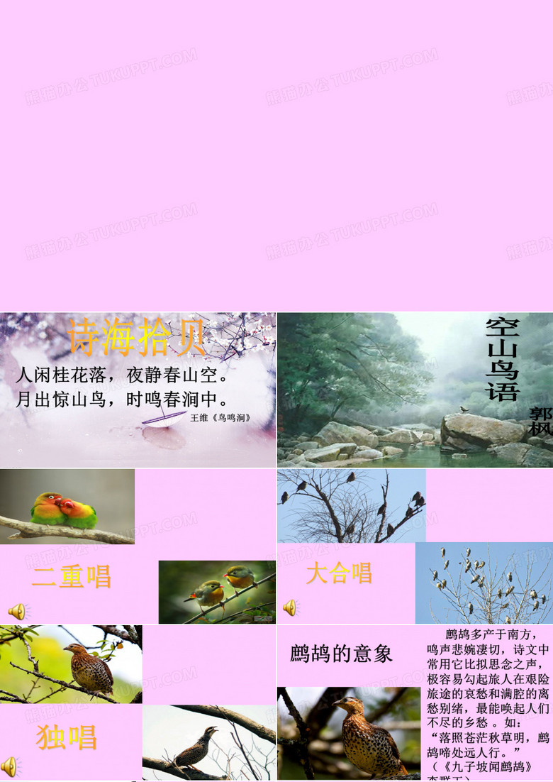 空山鸟语