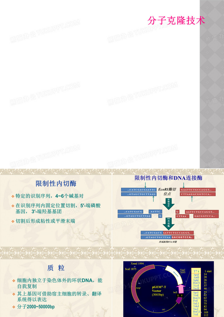 分子克隆技术