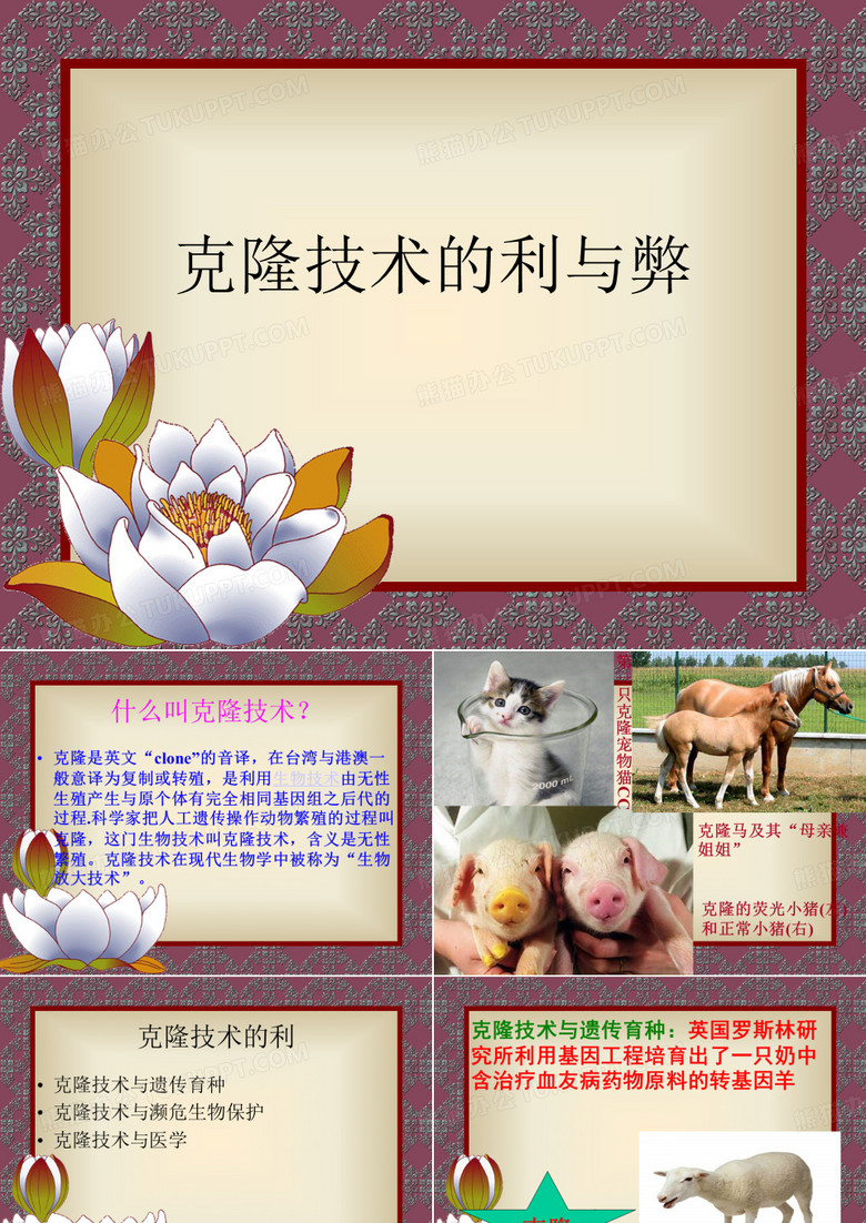 克隆技术ppt