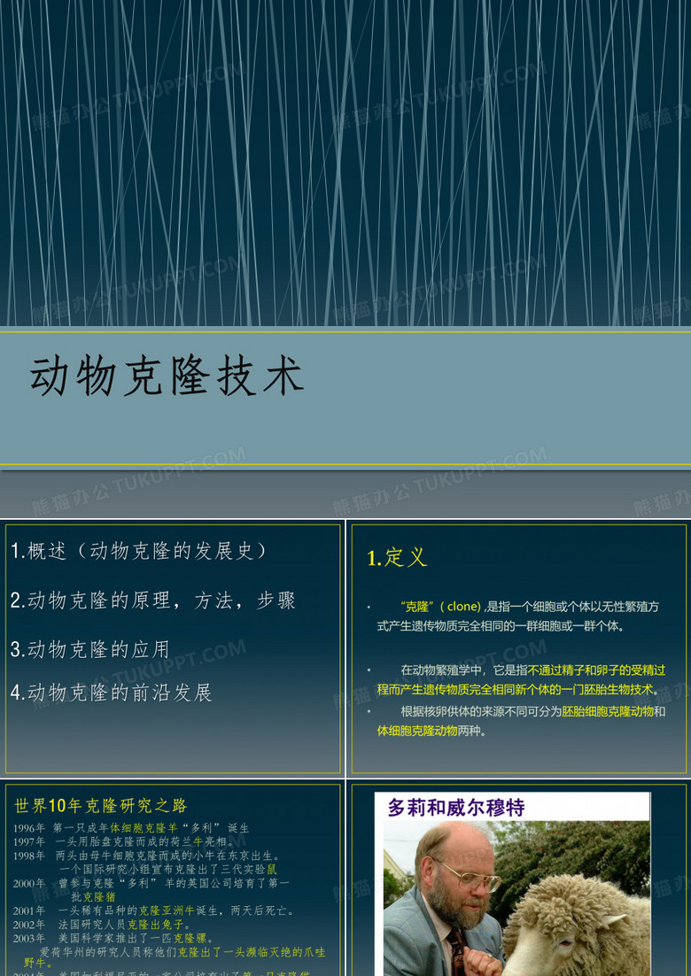 动物克隆技术