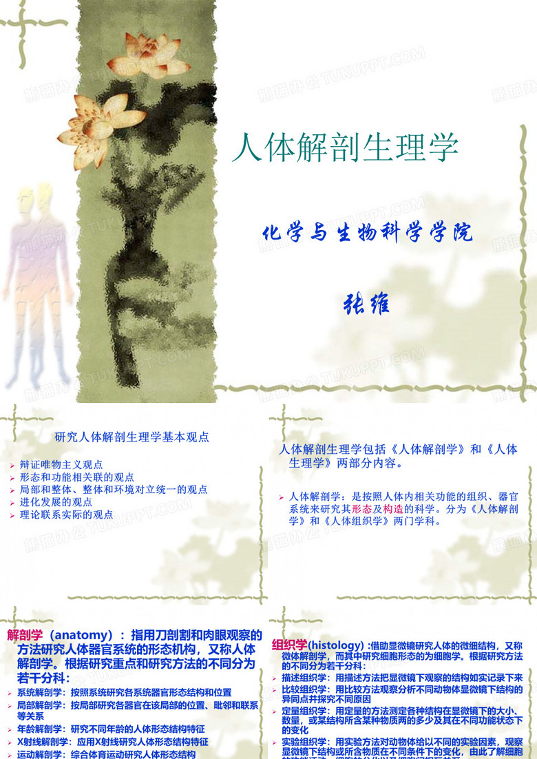 人体解剖学基础
