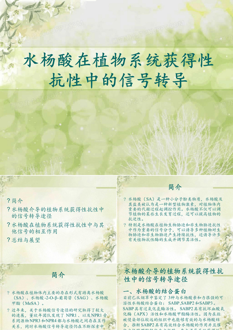 水杨酸信号转导