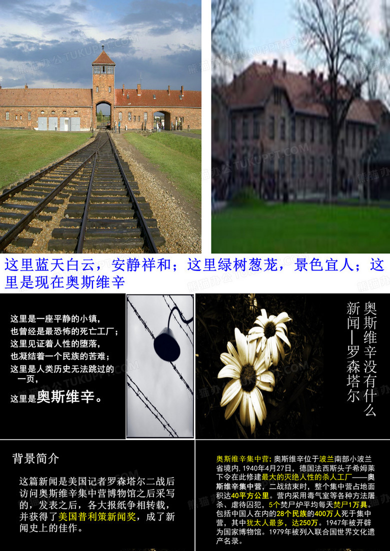 奥斯维辛没有新闻