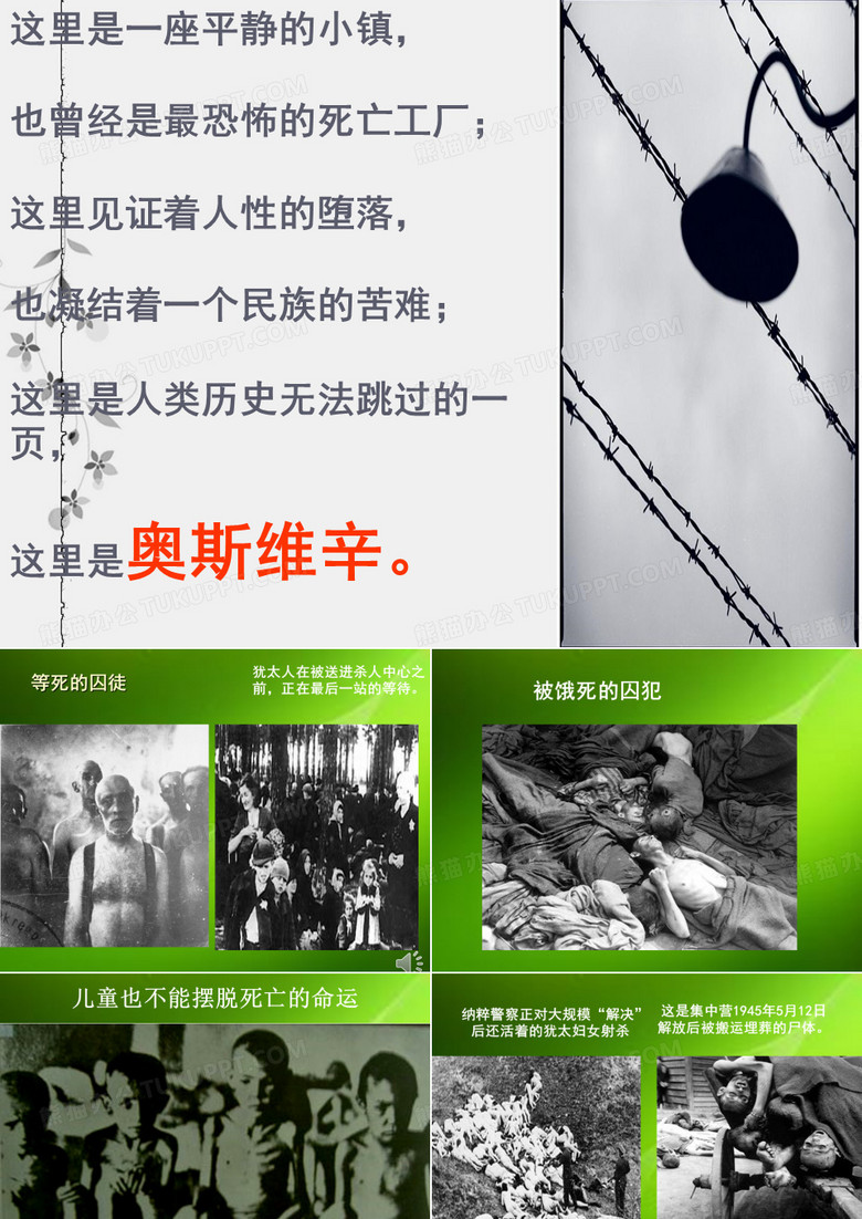 奥斯维辛没有什么新闻