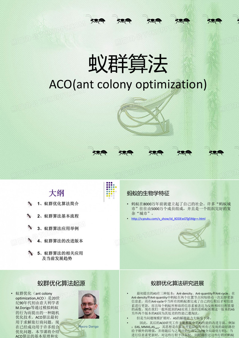 蚁群算法