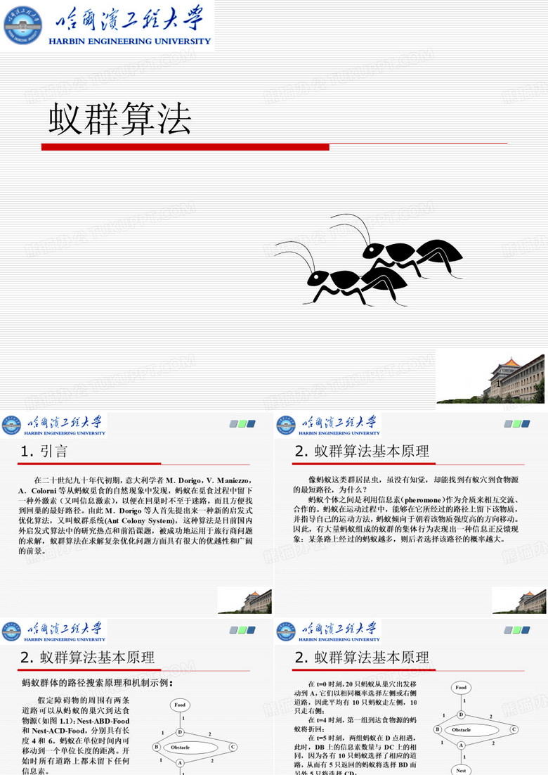 蚁群算法