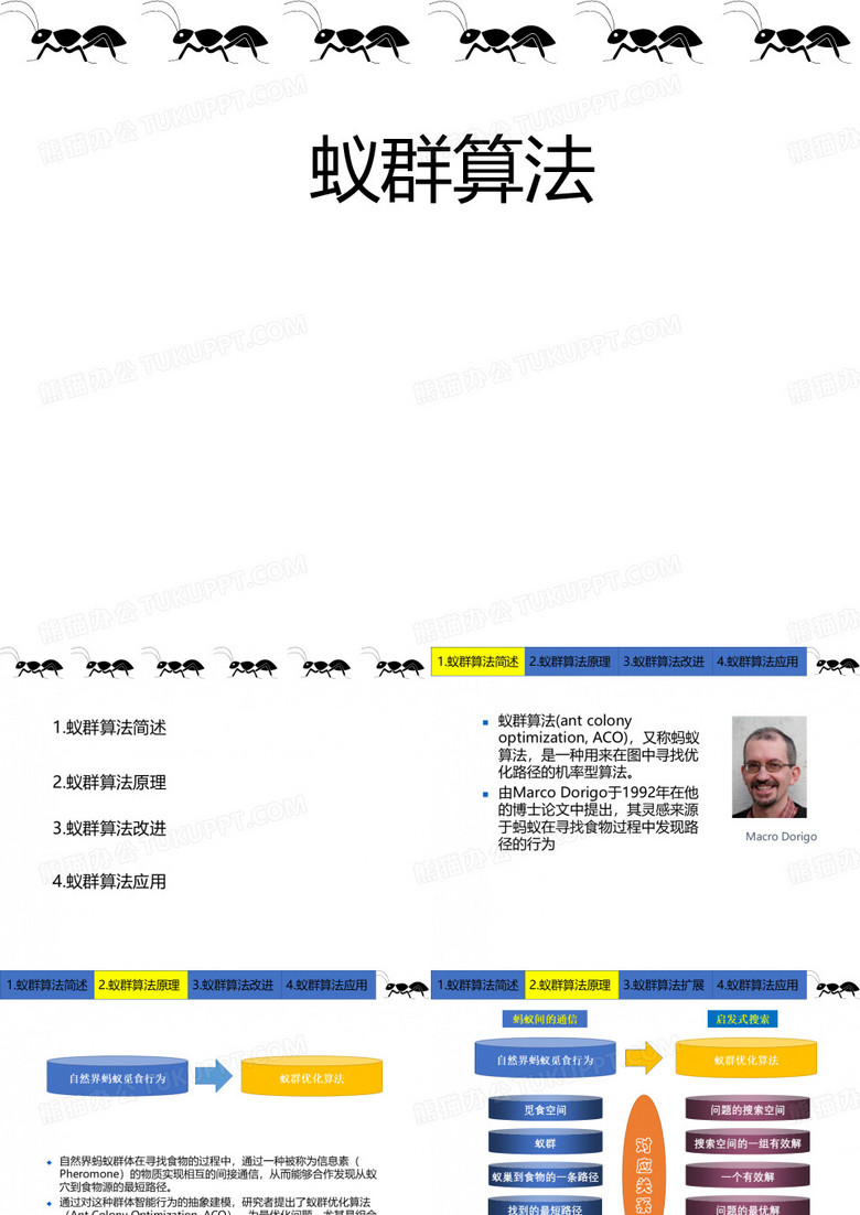 蚁群算法