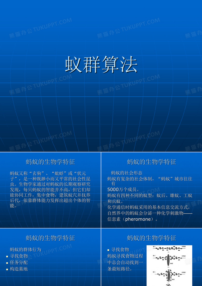 蚁群算法