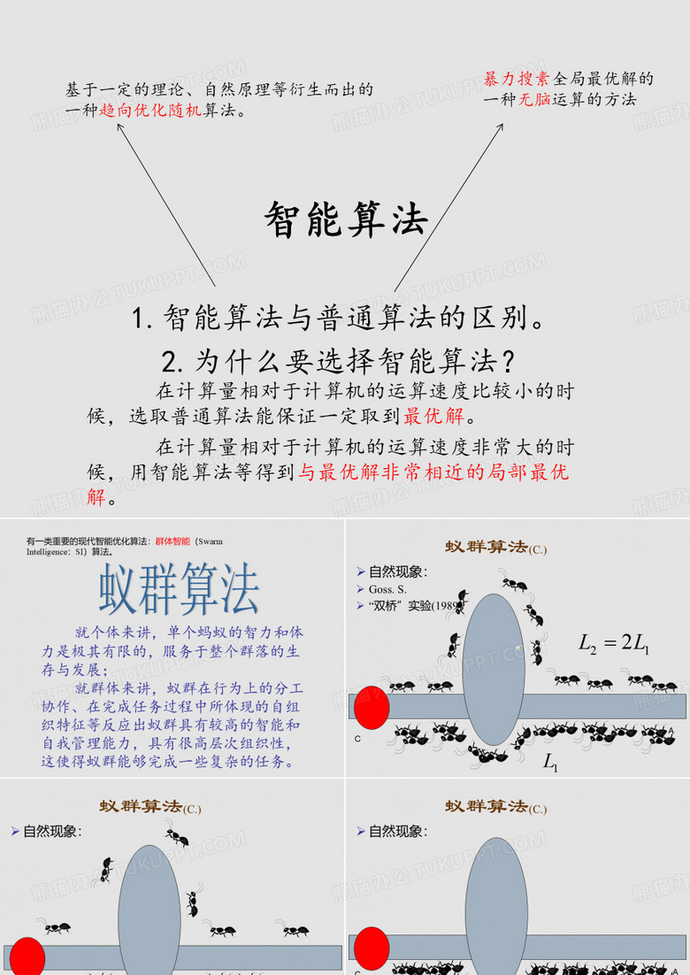 蚁群算法的实现