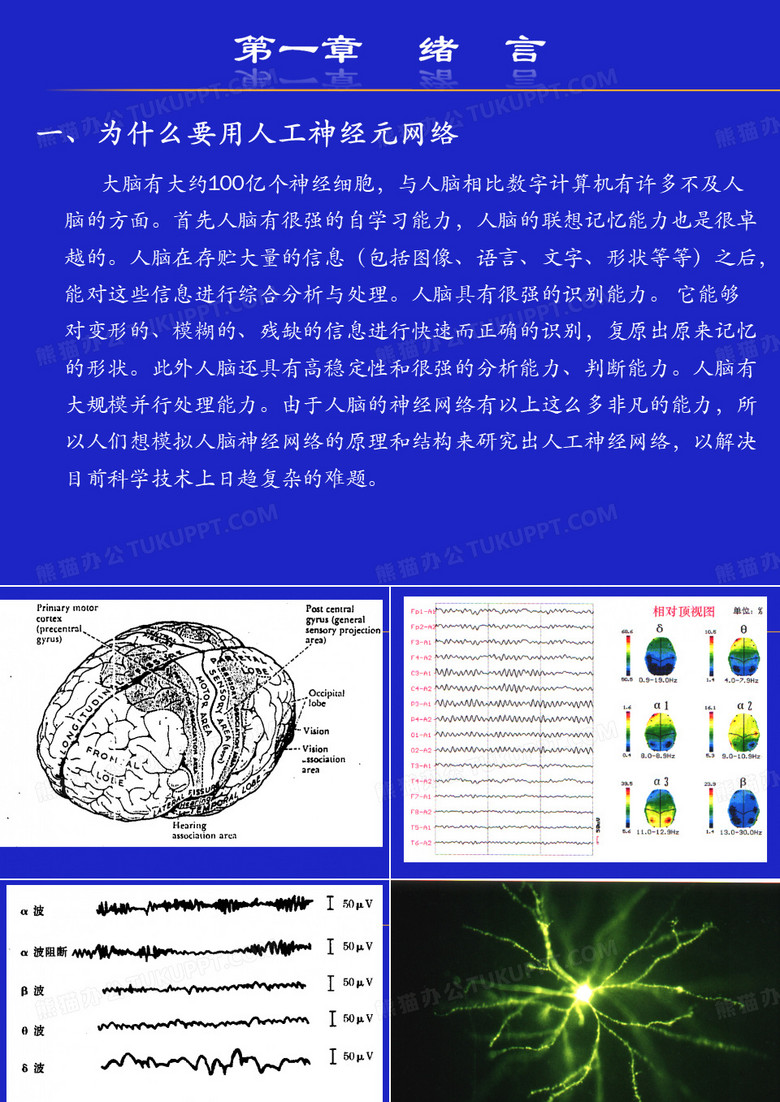 神经元网络