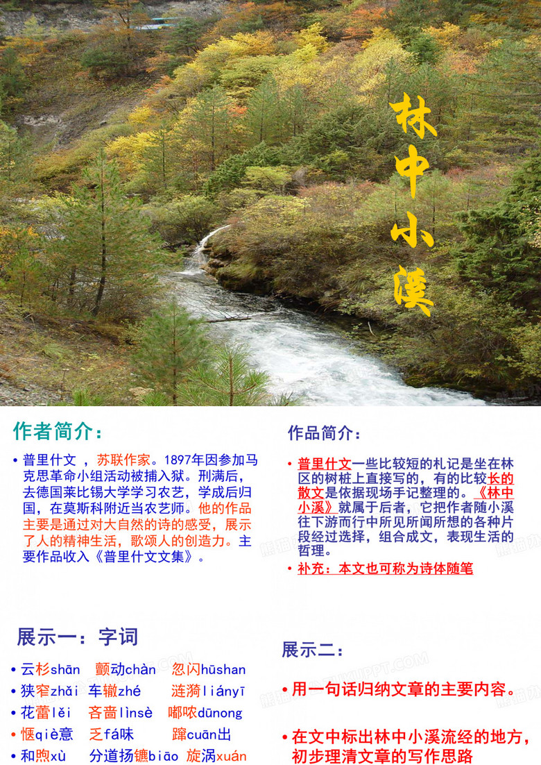 林中小溪ppt课件
