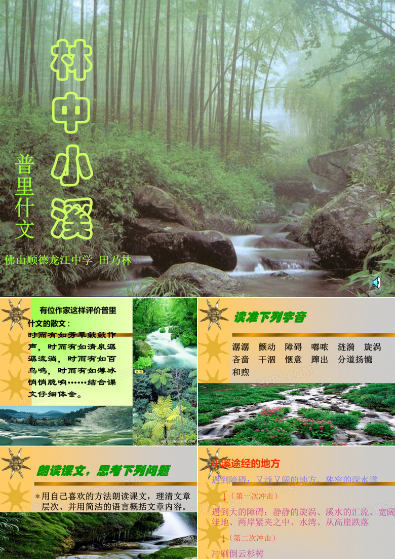 林中小溪PPT8 苏教版