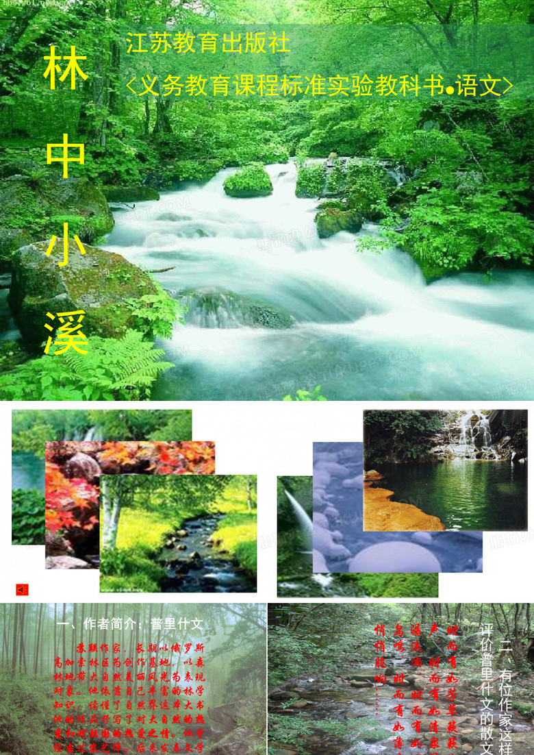 林中小溪课件[精选文档]
