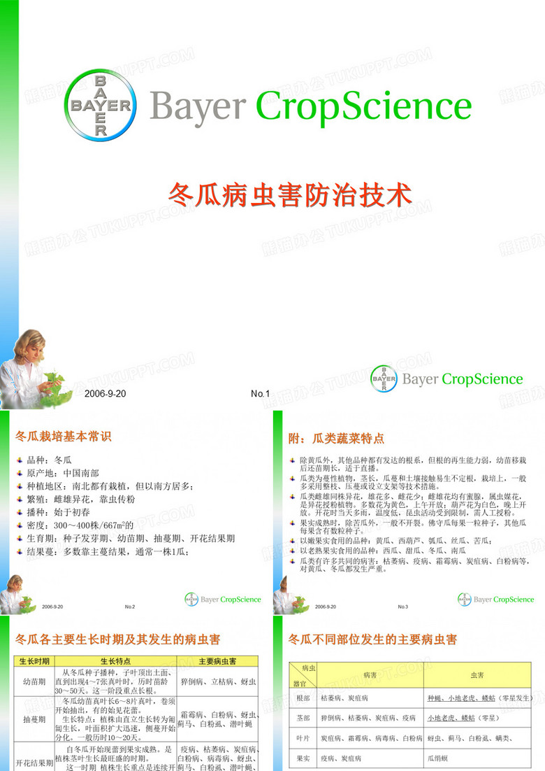 冬瓜病虫害防治技术