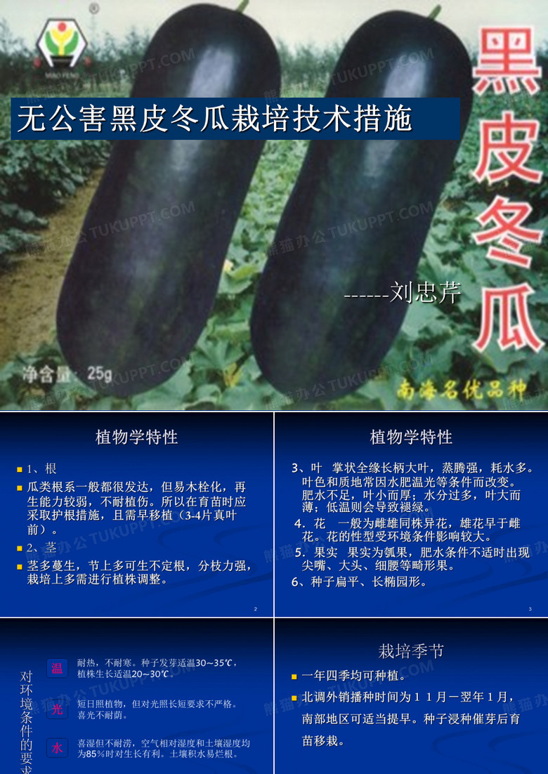 冬瓜栽培PPT精选文档