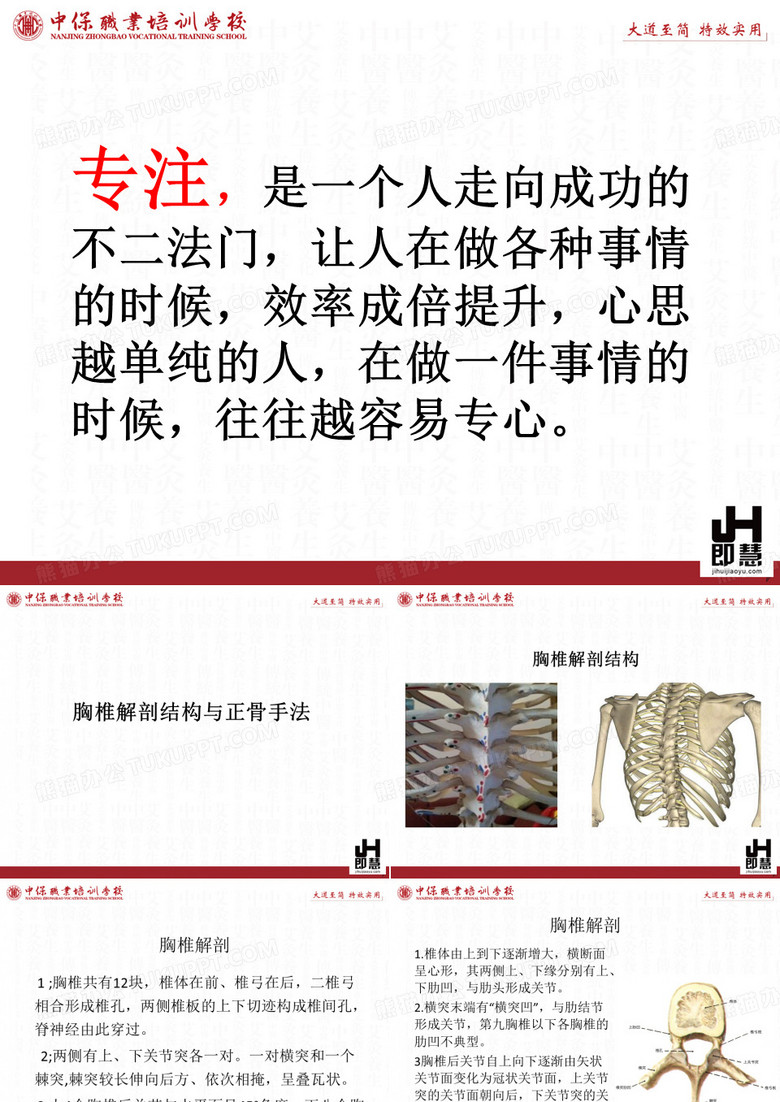 胸椎解剖及正骨手法