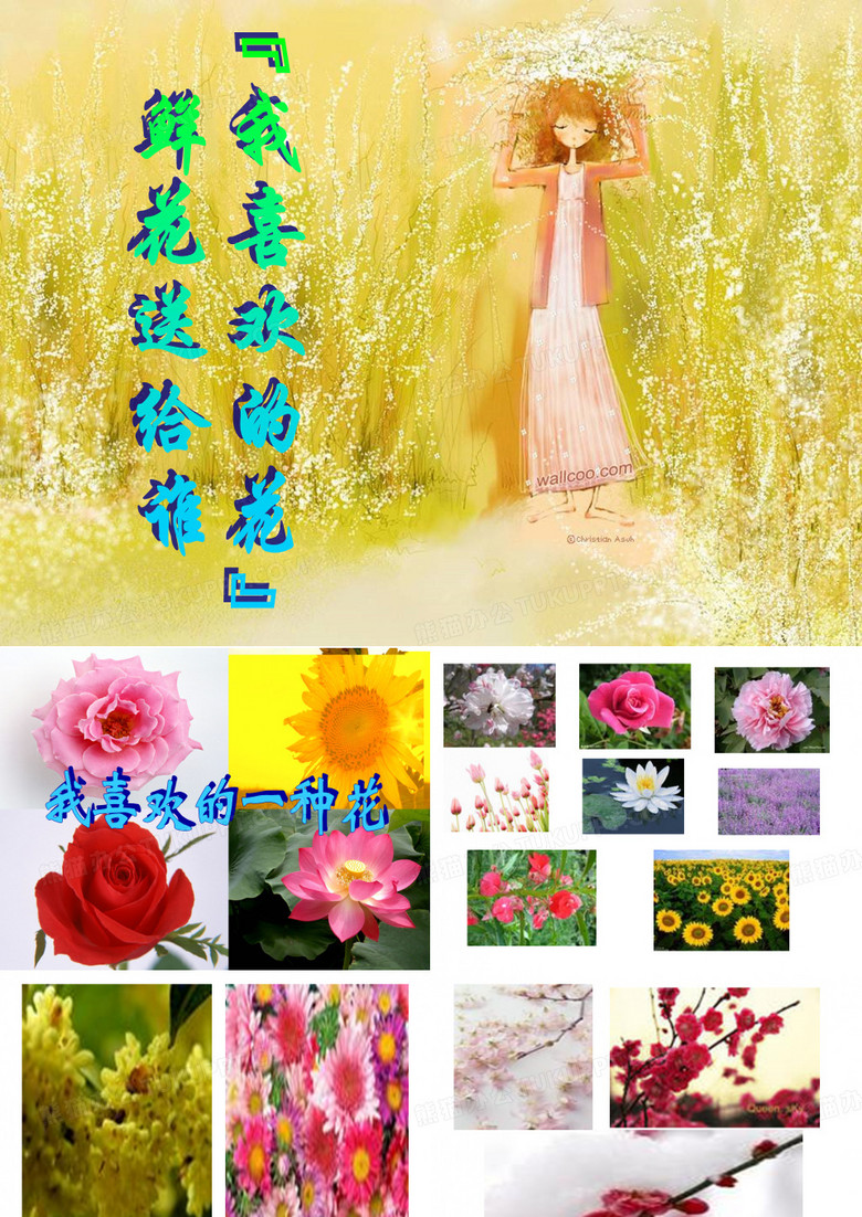 我喜欢的一种花