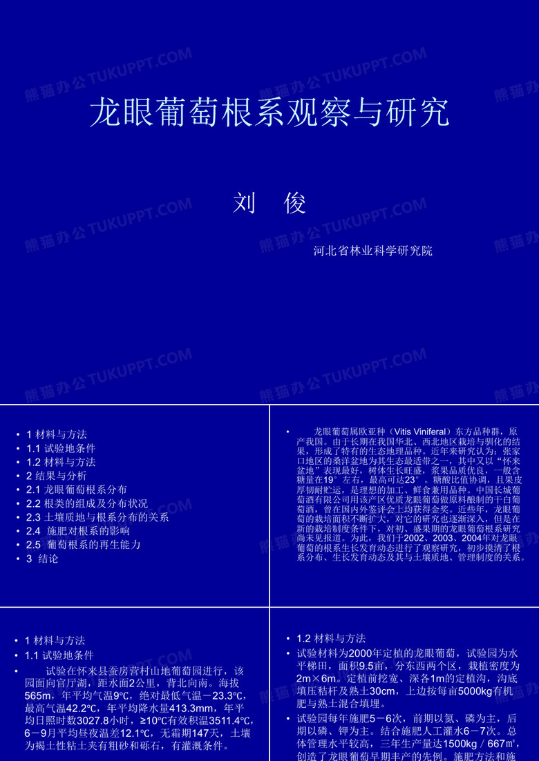 龙眼葡萄根系观察与研究