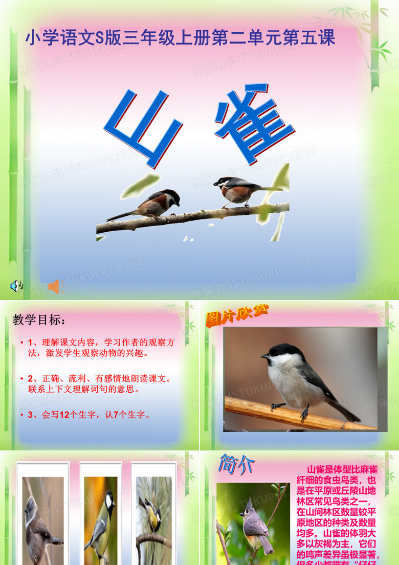 山雀ppt