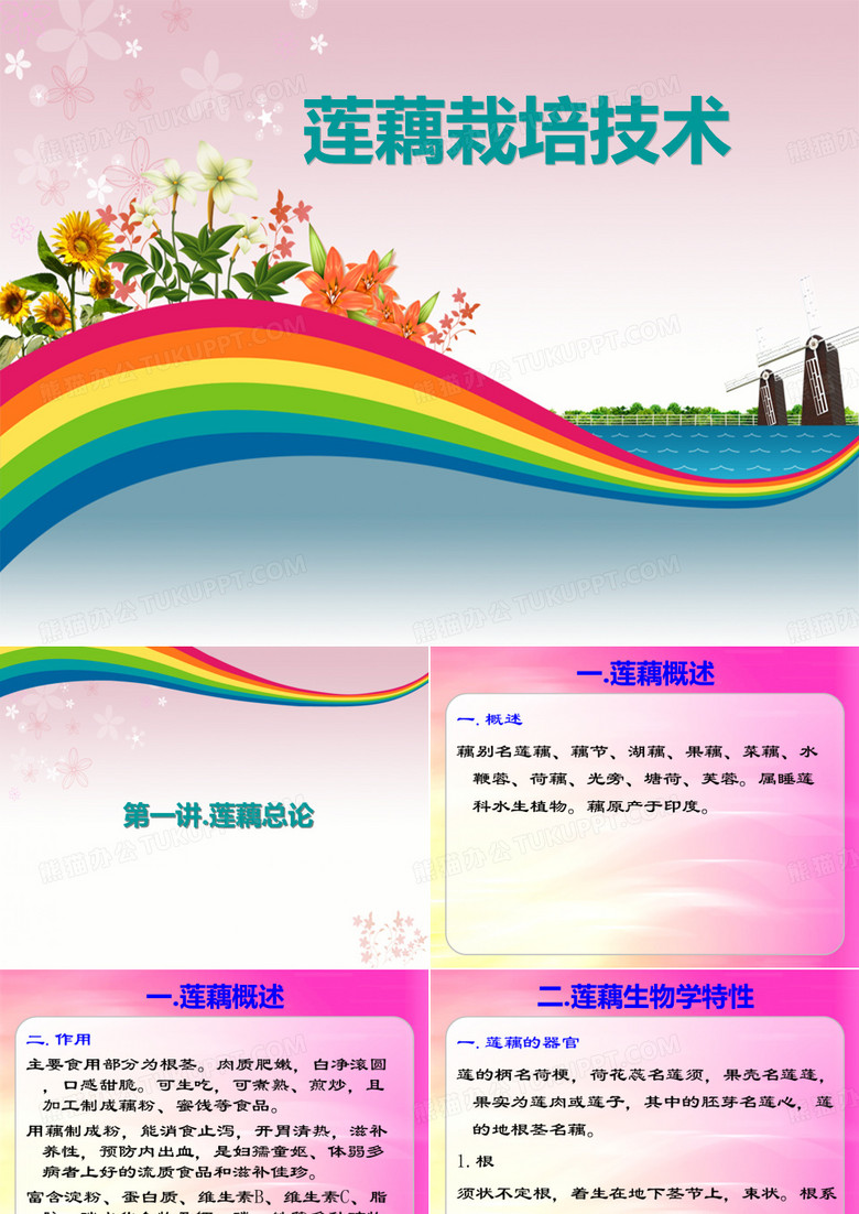 精装版莲藕栽培技术
