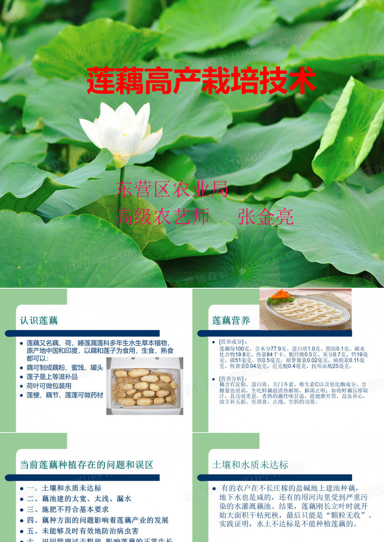 莲藕高产栽培技术.