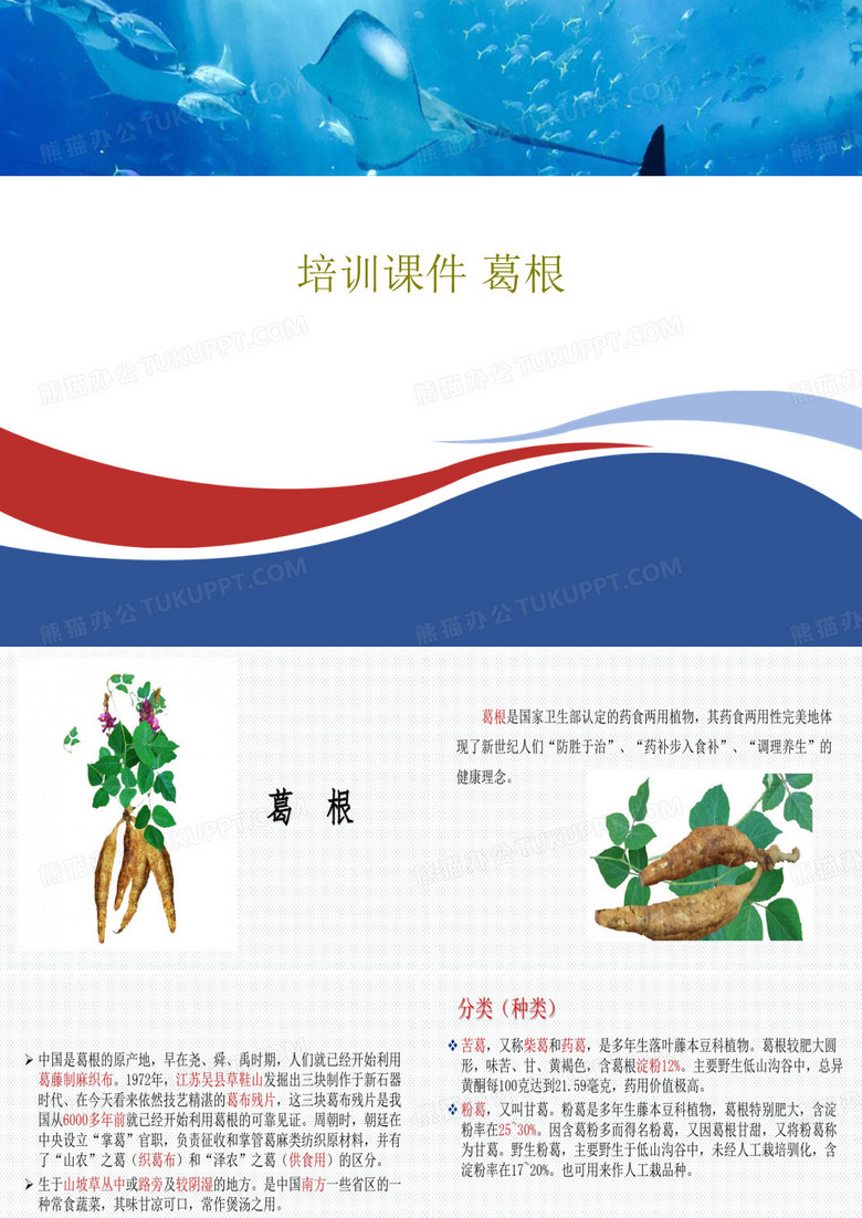 培训课件 葛根24页PPT