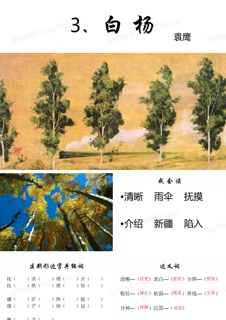 3、《白杨》课件