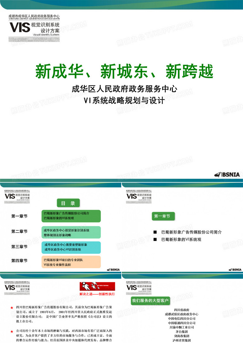 (精品)VI项目提案