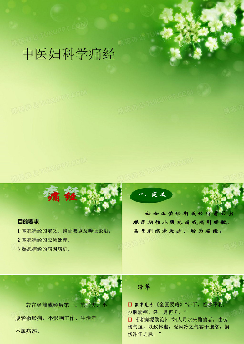 中医妇科学痛经