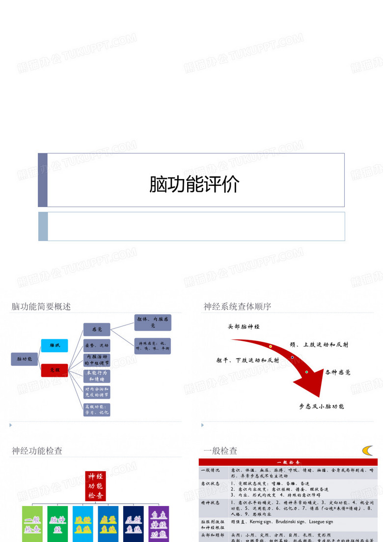 脑功能评价