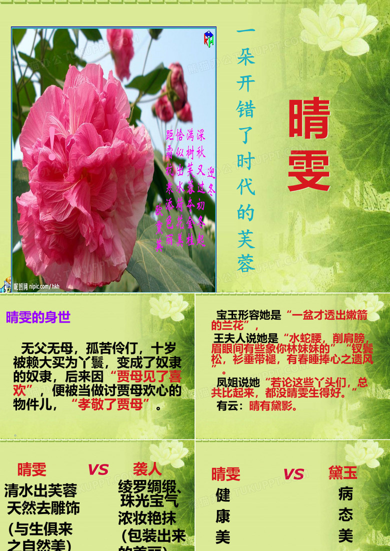 晴雯PPT