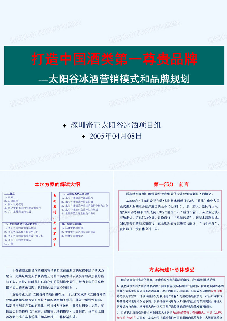 某冰酒营销模式和品牌规划方案