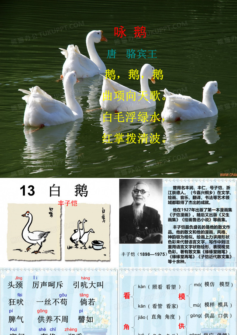13.白鹅
