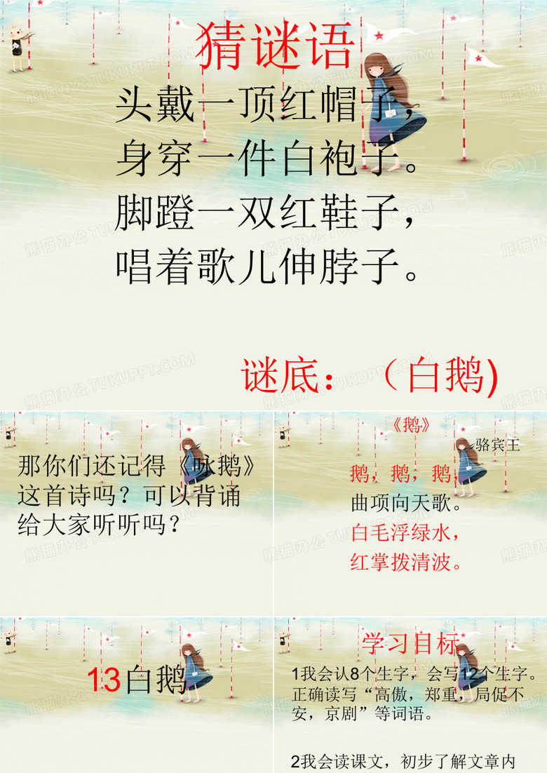 13白鹅 (2)