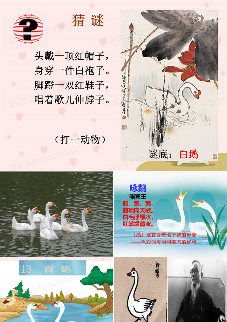 13.《白鹅》公开课
