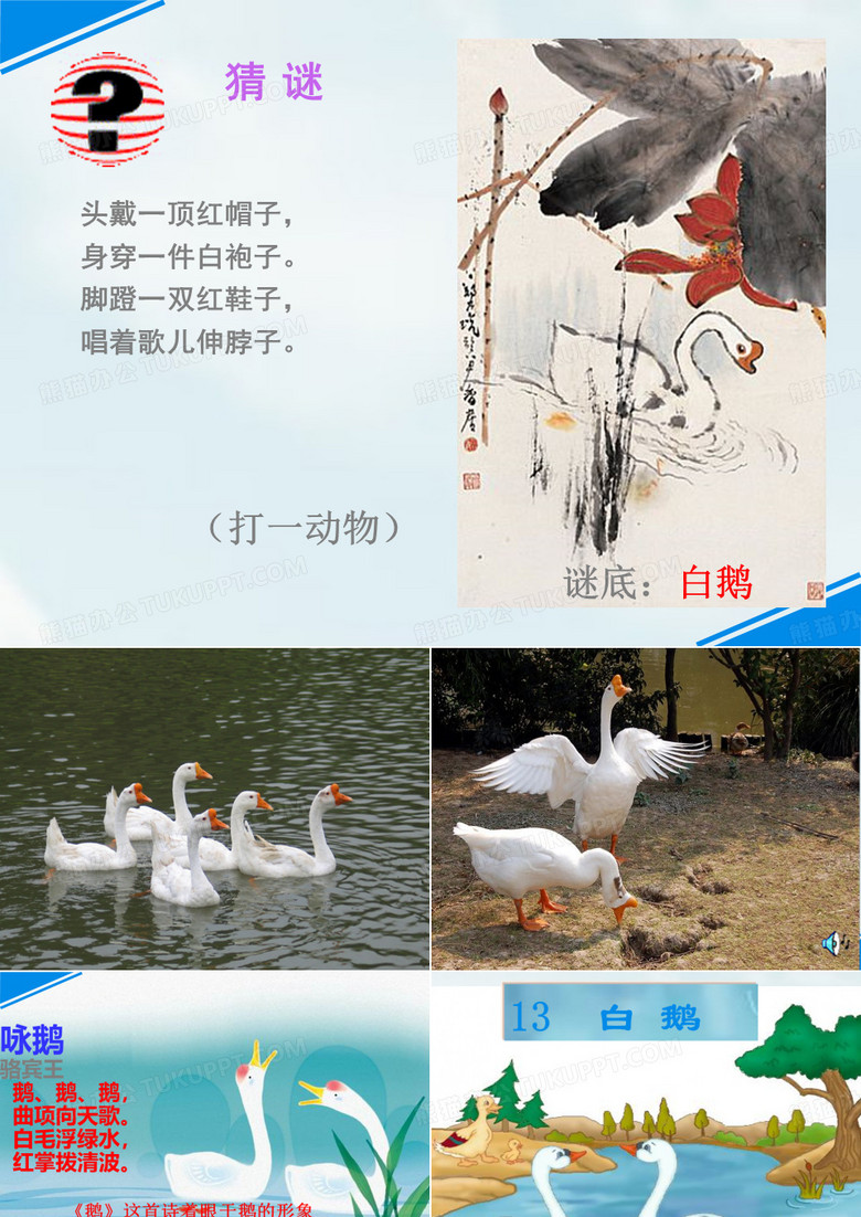 13.《白鹅》杨林