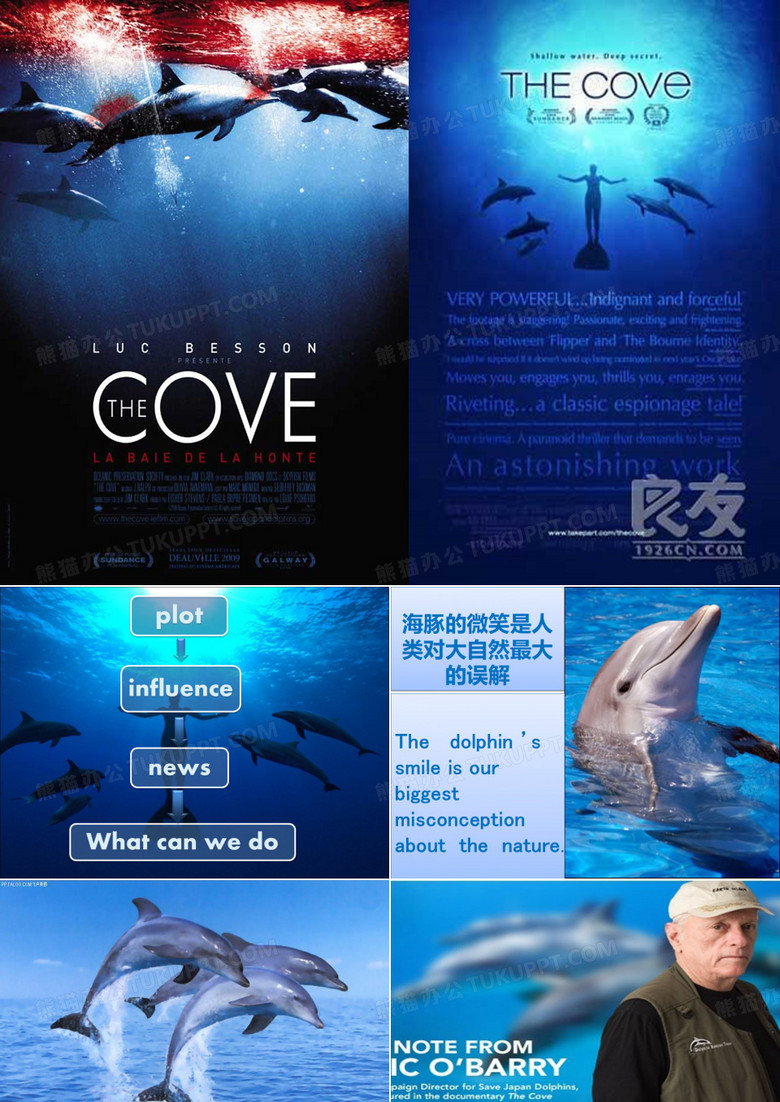 海豚湾PPT